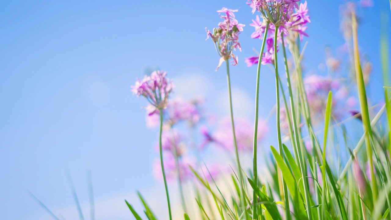 Funerária Iguaba Grande 24h